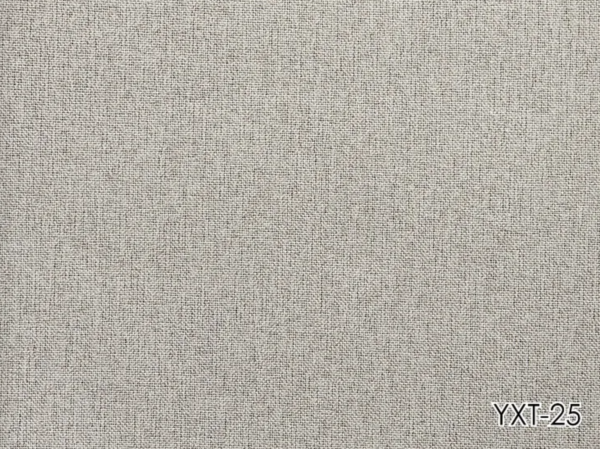 YXT-25